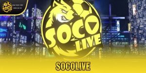 Socolive có đa dạng trận đấu không? Nền tảng hấp dẫn 2025