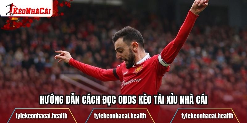 Hướng dẫn cách đọc odds kèo tài xỉu nhà cái