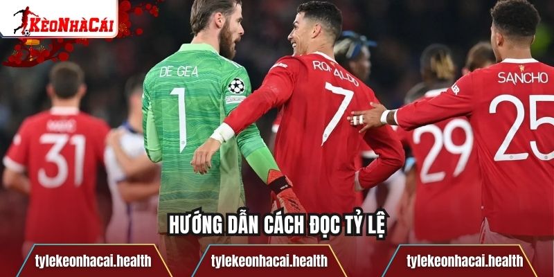 Hướng dẫn cách đọc tỷ lệ