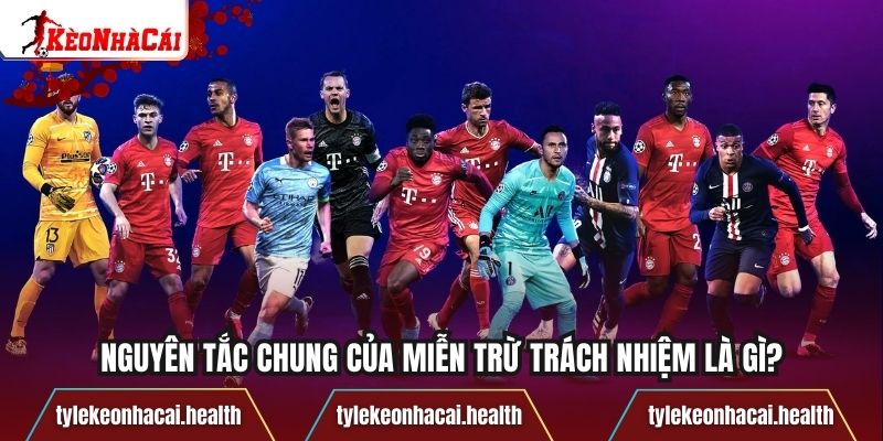 Nguyên tắc chung của miễn trừ trách nhiệm là gì?